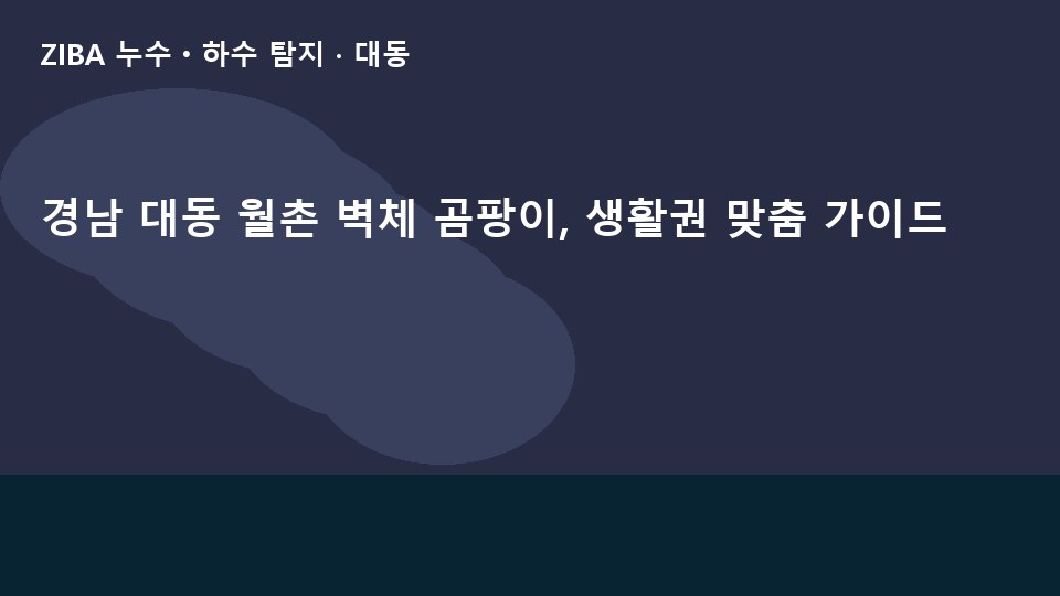경남 대동 월촌 벽체 곰팡이, 생활권 맞춤 가이드