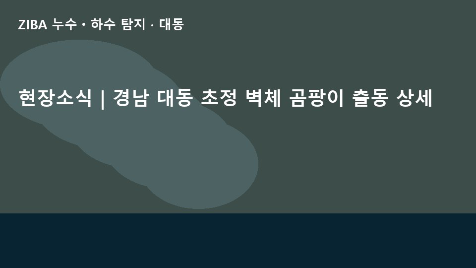 현장소식 | 경남 대동 초정 벽체 곰팡이 출동 상세